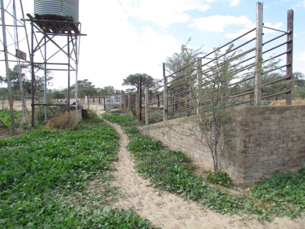 Livestock farm for sale in Kuruman Farms - 1RN1704736 Livestock farm for sale in Kuruman Farms - 1RN1704736