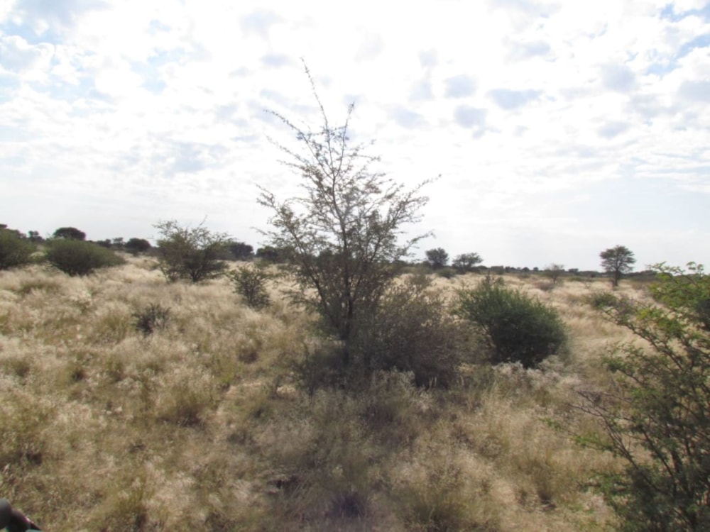 Livestock farm for sale in Kuruman Farms - 1RN1704736 Livestock farm for sale in Kuruman Farms - 1RN1704736