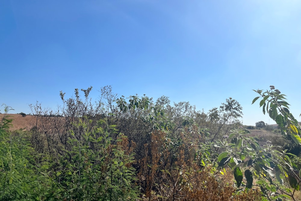 Residential vacant land for sale in Bankenveld  - 1WD1705022 Residential vacant land for sale in Bankenveld  - 1WD1705022