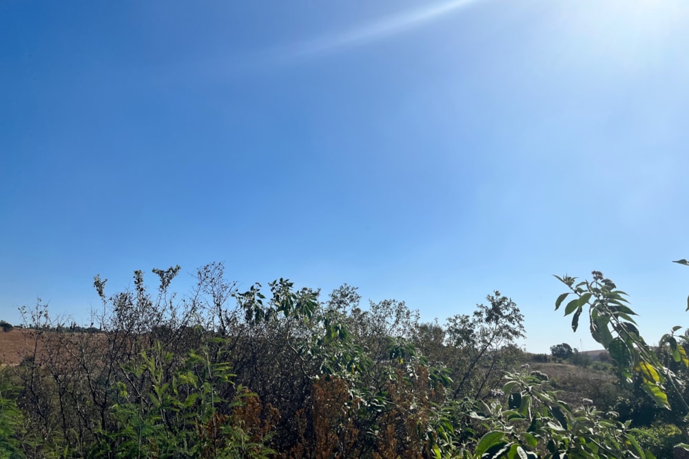 Residential vacant land for sale in Bankenveld  - 1WD1705022 Residential vacant land for sale in Bankenveld  - 1WD1705022