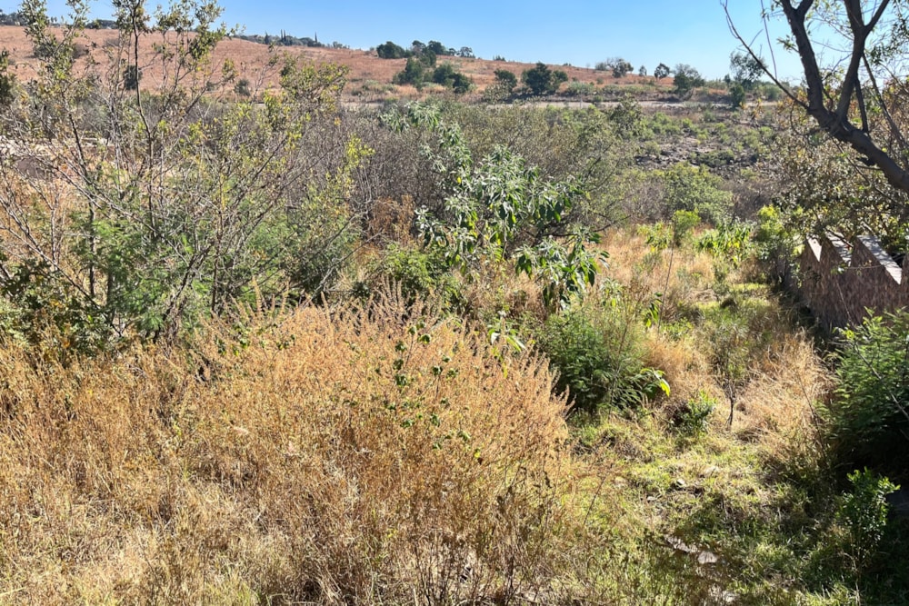 Residential vacant land for sale in Bankenveld  - 1WD1705022 Residential vacant land for sale in Bankenveld  - 1WD1705022