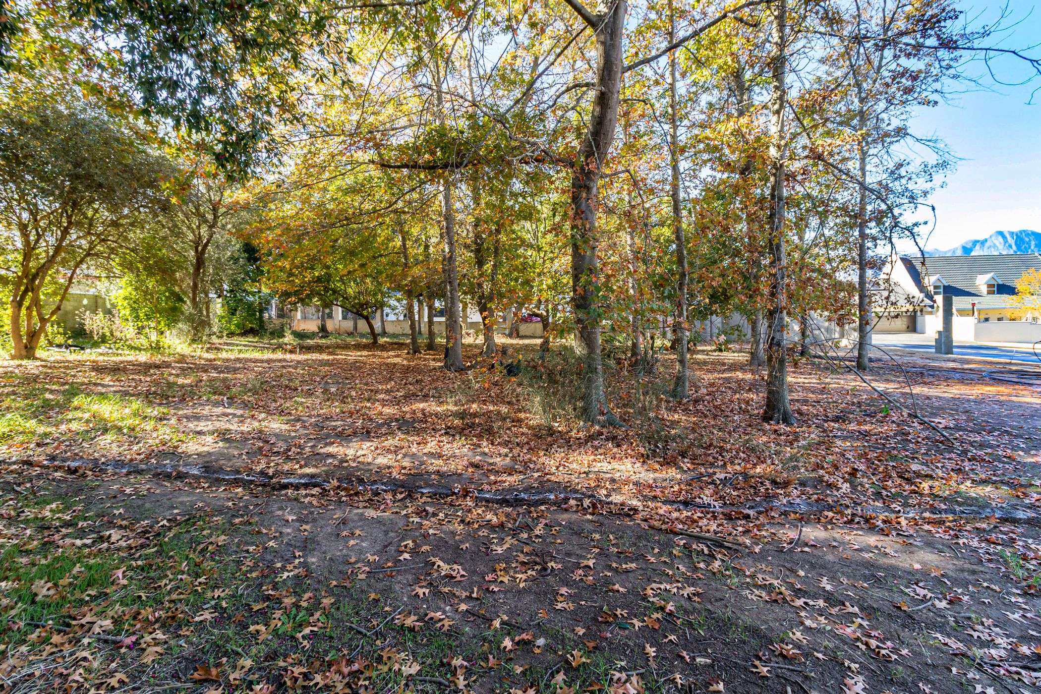 Residential vacant land for sale in Parel Vallei - SW1705213