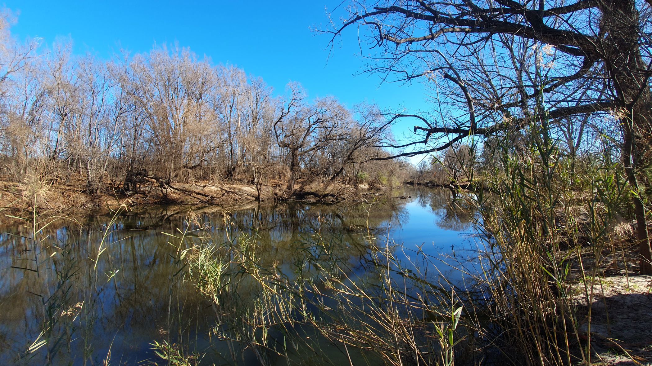 Smallholding for sale in Vischgat - 1VT1705893