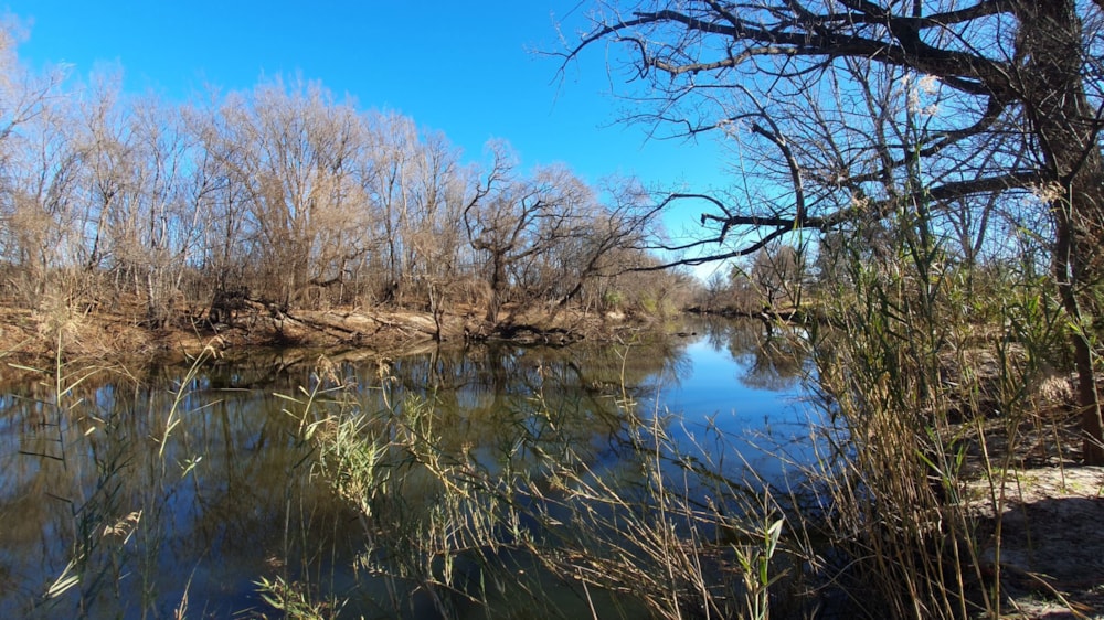 Smallholding for sale in Vischgat - 1VT1705893 Smallholding for sale in Vischgat - 1VT1705893