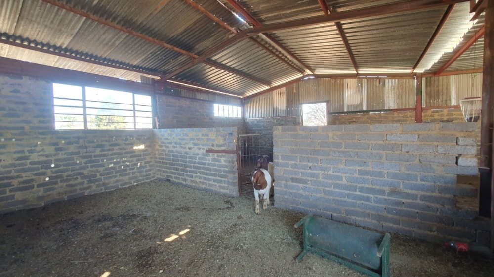 Smallholding for sale in Buyscelia - 1VT1705556 Smallholding for sale in Buyscelia - 1VT1705556