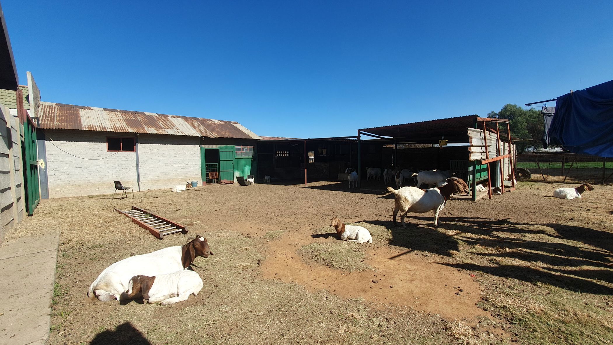 Smallholding for sale in Buyscelia - 1VT1705556