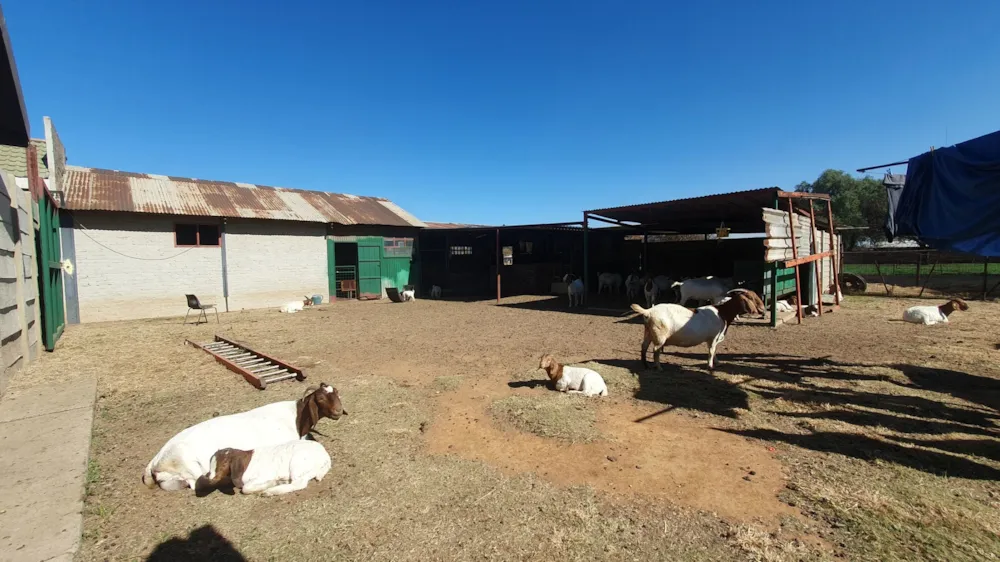 Smallholding for sale in Buyscelia - 1VT1705556 Smallholding for sale in Buyscelia - 1VT1705556