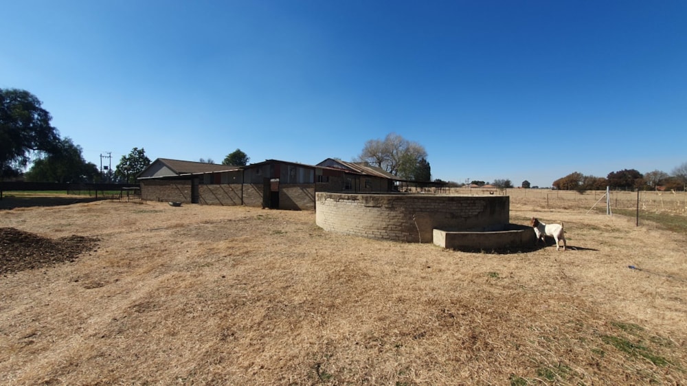 Smallholding for sale in Buyscelia - 1VT1705556 Smallholding for sale in Buyscelia - 1VT1705556