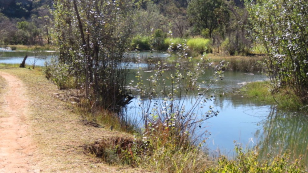 Vacant land for sale in Bela Bela Rural - 1MDM1705655