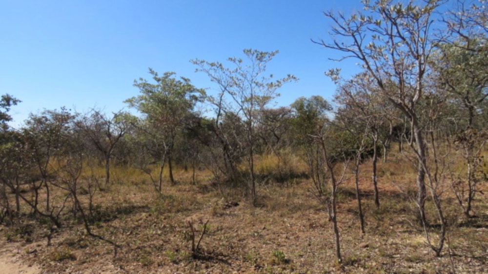 Vacant land for sale in Bela Bela Rural - 1MDM1705655