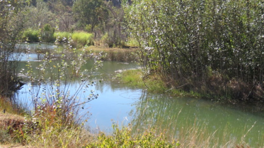 Vacant land for sale in Bela Bela Rural - 1MDM1705655