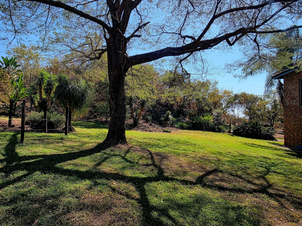 Smallholding for sale in Tzaneen Rural - 1TA1705595 Smallholding for sale in Tzaneen Rural - 1TA1705595