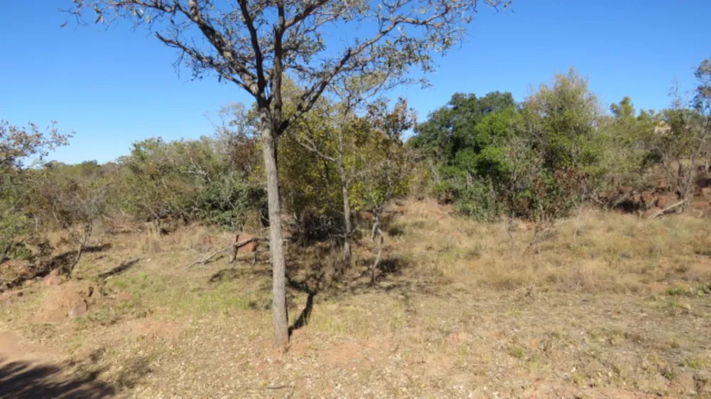 Residential vacant land for sale in Bela Bela Rural - 1MDM1705663