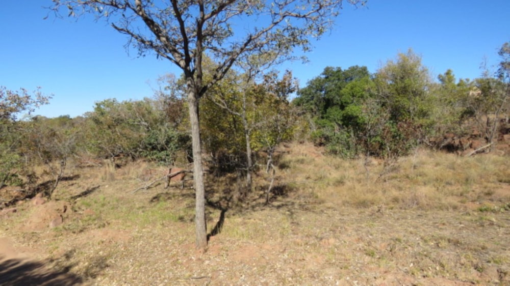 Residential vacant land for sale in Bela Bela Rural - 1MDM1705663