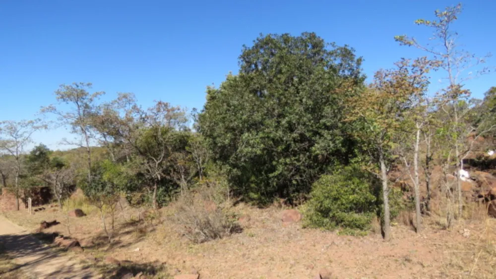 Residential vacant land for sale in Bela Bela Rural - 1MDM1705663