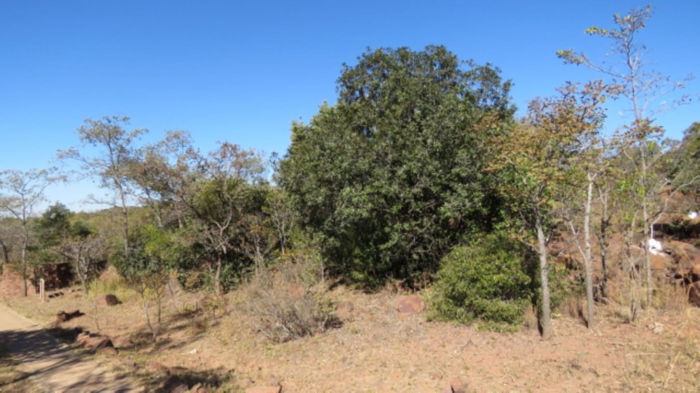 Residential vacant land for sale in Bela Bela Rural - 1MDM1705663