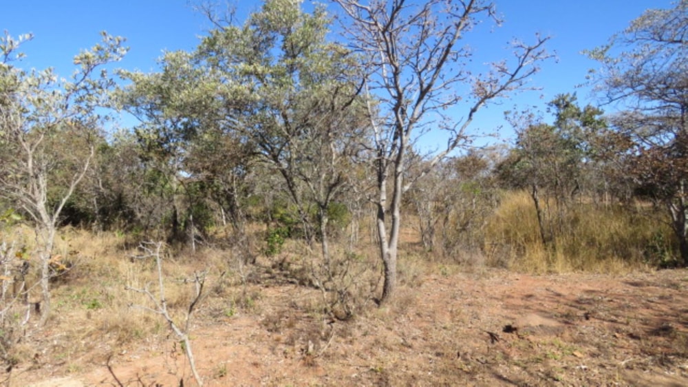 Residential vacant land for sale in Bela Bela Rural - 1MDM1705663