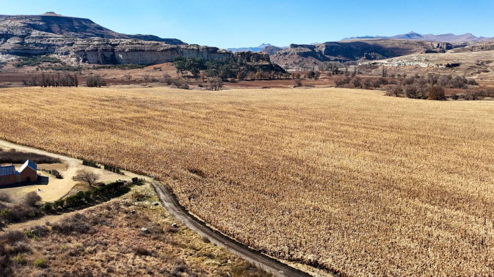 Livestock farm sold in Clarens - 1CS1705709 Livestock farm sold in Clarens - 1CS1705709