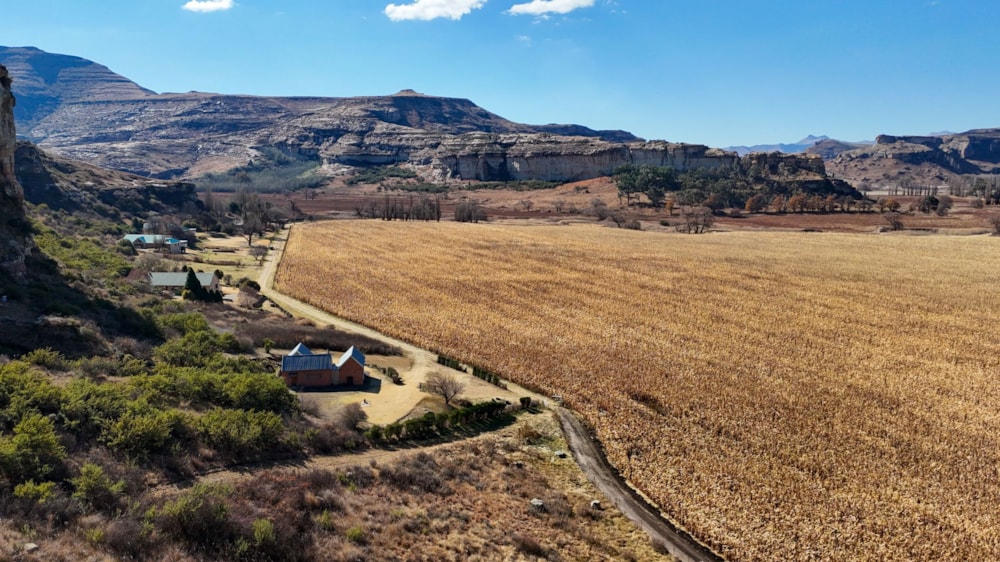 Livestock farm sold in Clarens - 1CS1705709 Livestock farm sold in Clarens - 1CS1705709