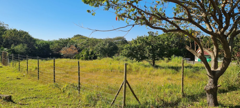 Residential vacant land for sale in Port Edward - 1PD1705866