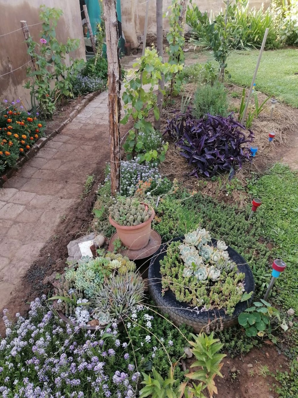 House for sale in Bethulie - 1KK1724945 House for sale in Bethulie - 1KK1724945