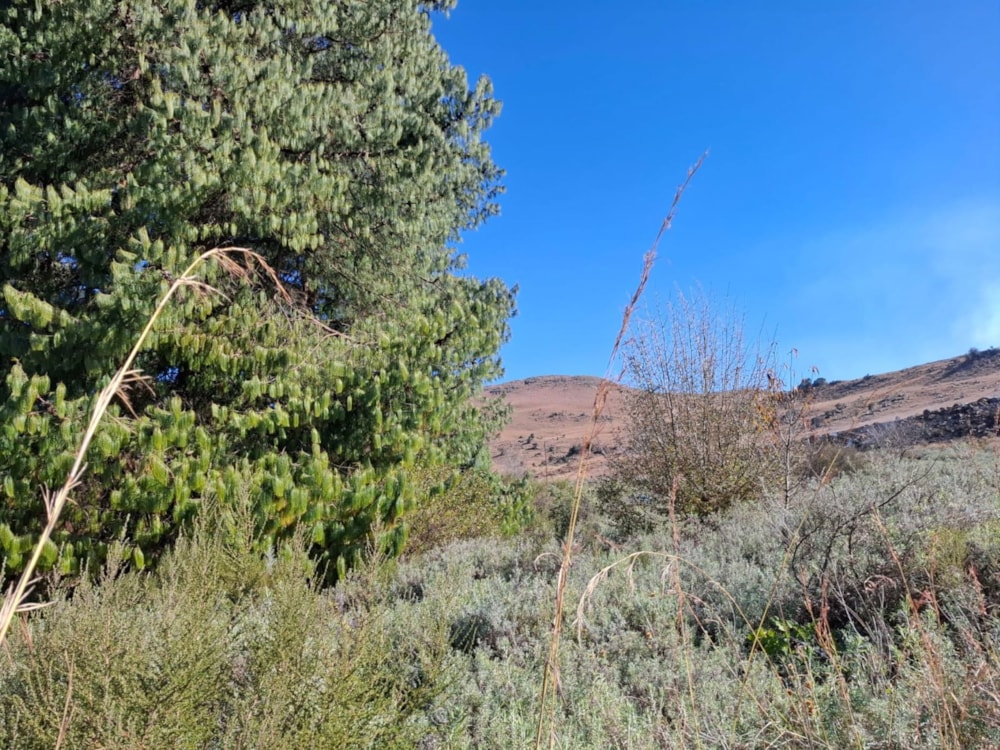 Vacant land for sale in Dullstroom - 1DS1576447 Vacant land for sale in Dullstroom - 1DS1576447