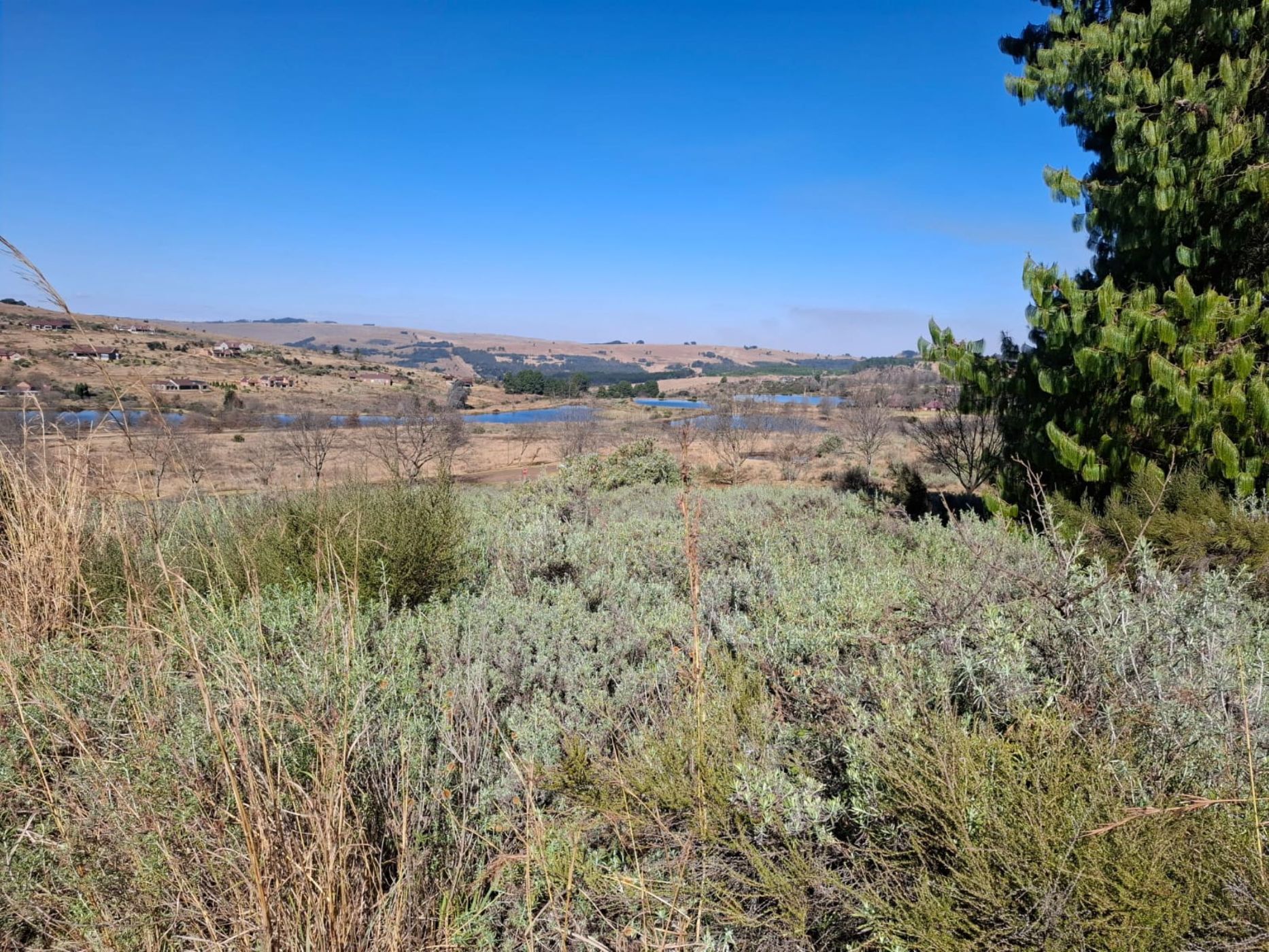 Vacant land for sale in Dullstroom - 1DS1576447