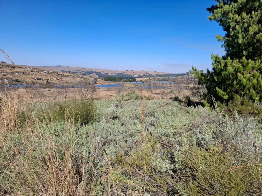 Vacant land for sale in Dullstroom - 1DS1576447