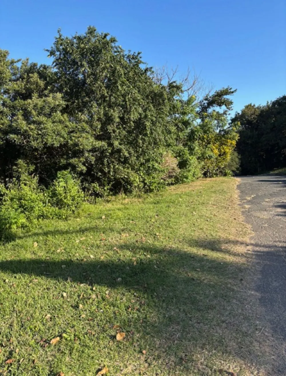 Vacant land for sale in Pennington - 1SI1036908 Vacant land for sale in Pennington - 1SI1036908