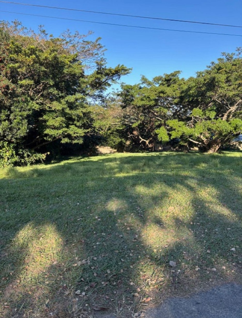 Vacant land for sale in Pennington - 1SI1036908