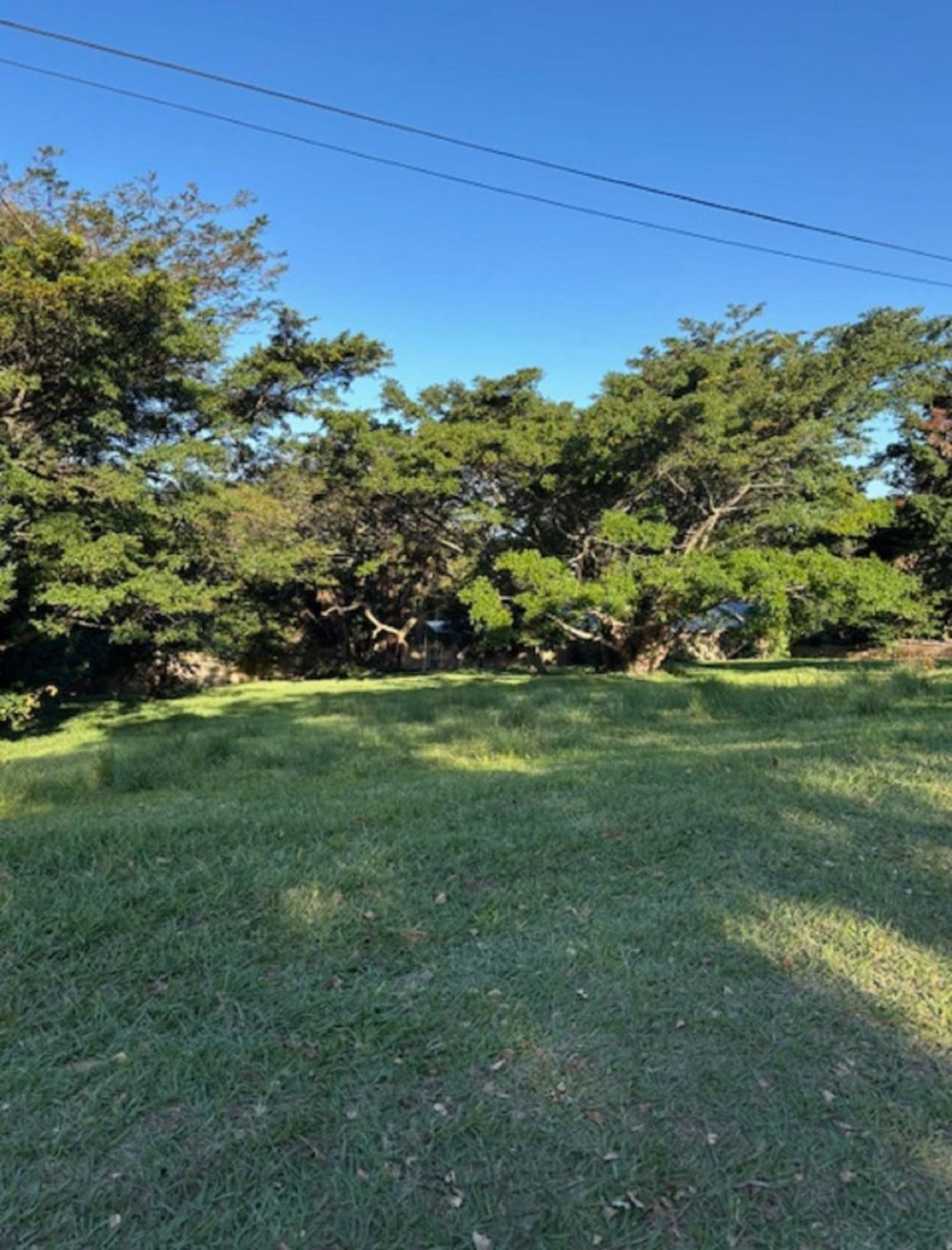 Vacant land for sale in Pennington - 1SI1036914