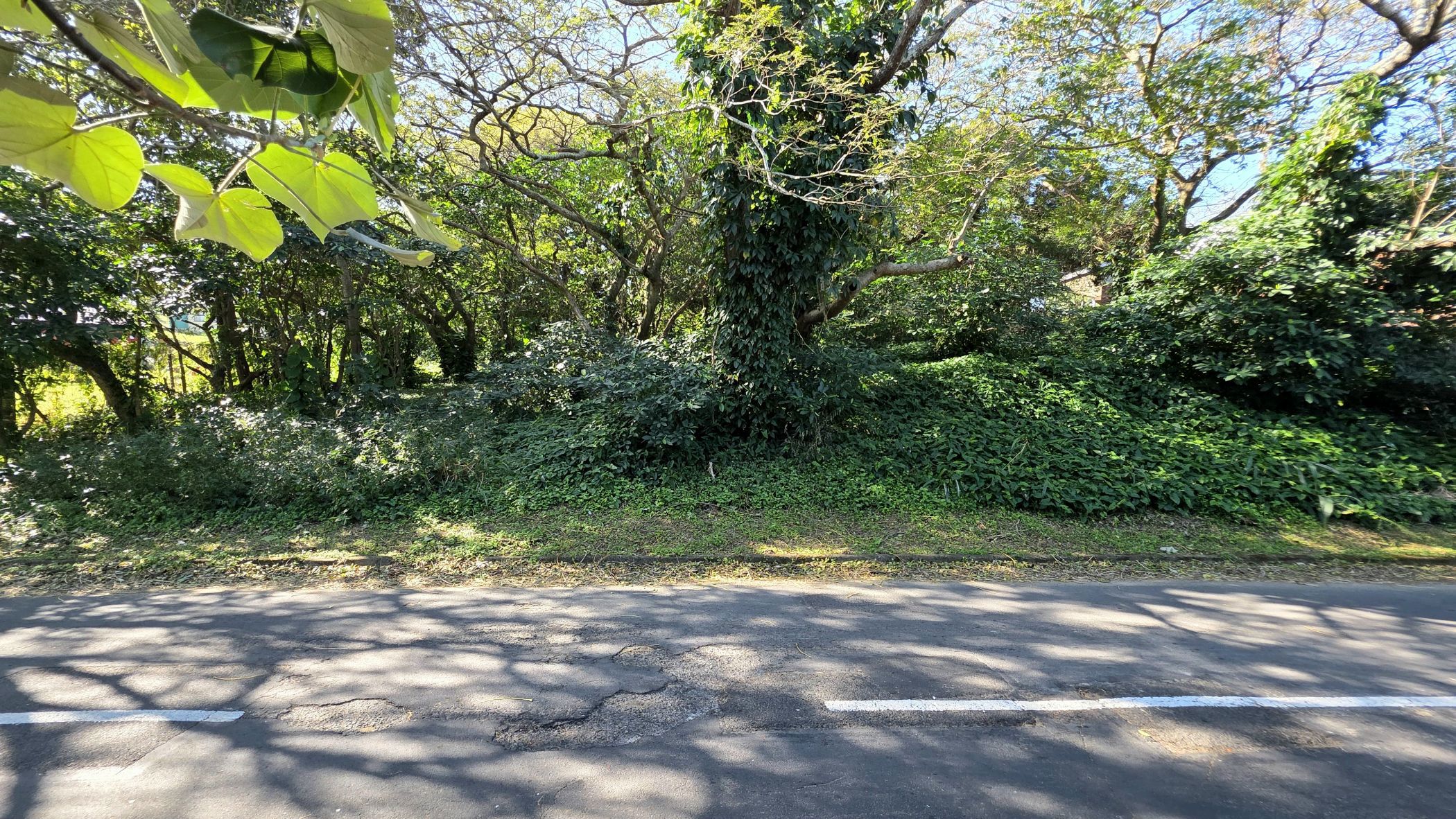 Vacant land for sale in Hibberdene - 1PSH1704923