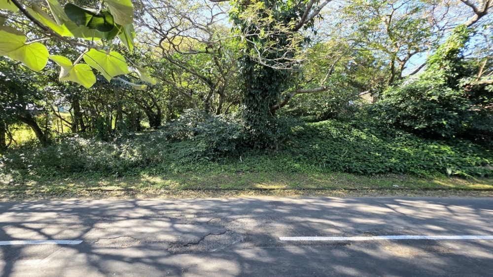 Vacant land for sale in Hibberdene - 1PSH1704923