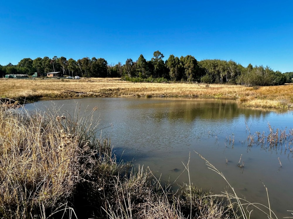 Mixed use farm sold in Dullstroom - 1DS1703416 Mixed use farm sold in Dullstroom - 1DS1703416