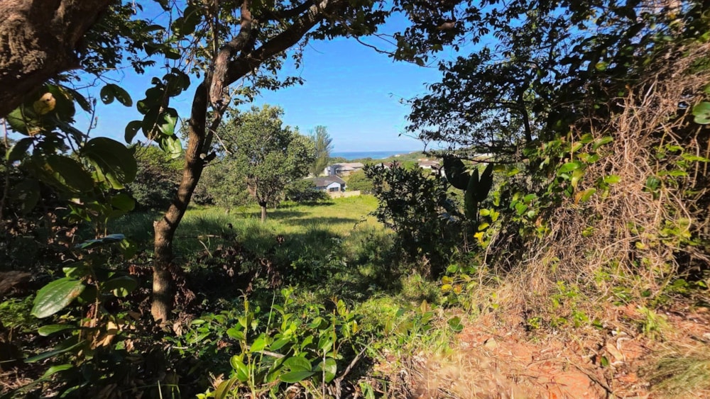 Residential vacant land for sale in Hibberdene - 1PSH1703007 Residential vacant land for sale in Hibberdene - 1PSH1703007