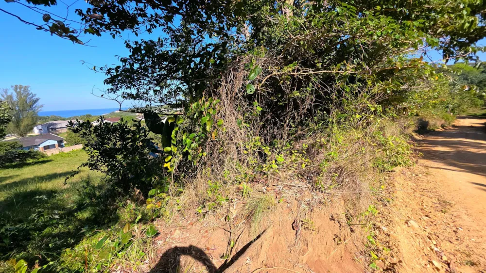 Residential vacant land for sale in Hibberdene - 1PSH1703007