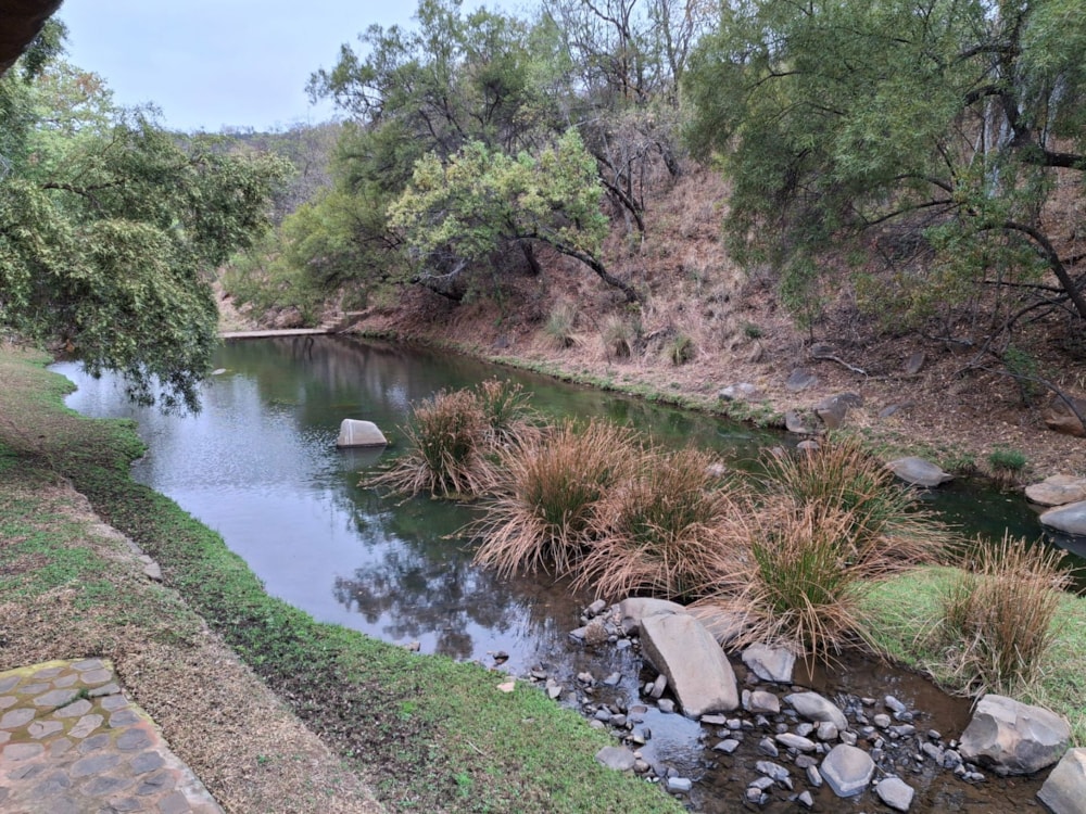 Game farm for sale in Groot Marico - 1RU1211960