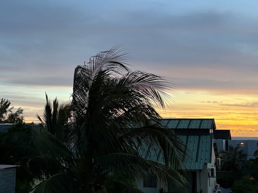 House to rent in Black River, Mauritius - MUR1691586 House to rent in Black River, Mauritius - MUR1691586