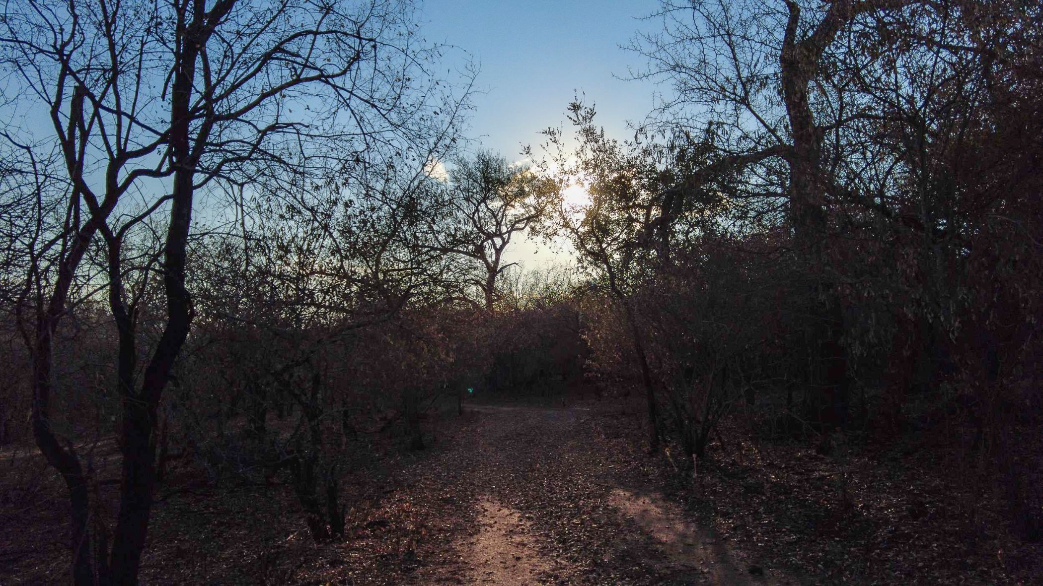 Vacant land for sale in Marloth Park - 1NK1706797