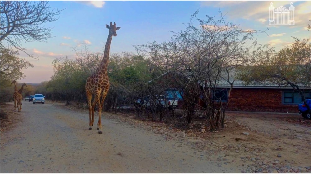 Vacant land for sale in Marloth Park - 1NK1706797