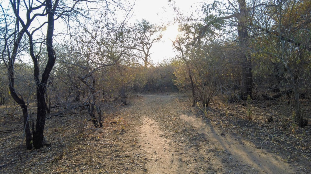 Vacant land for sale in Marloth Park - 1NK1706797