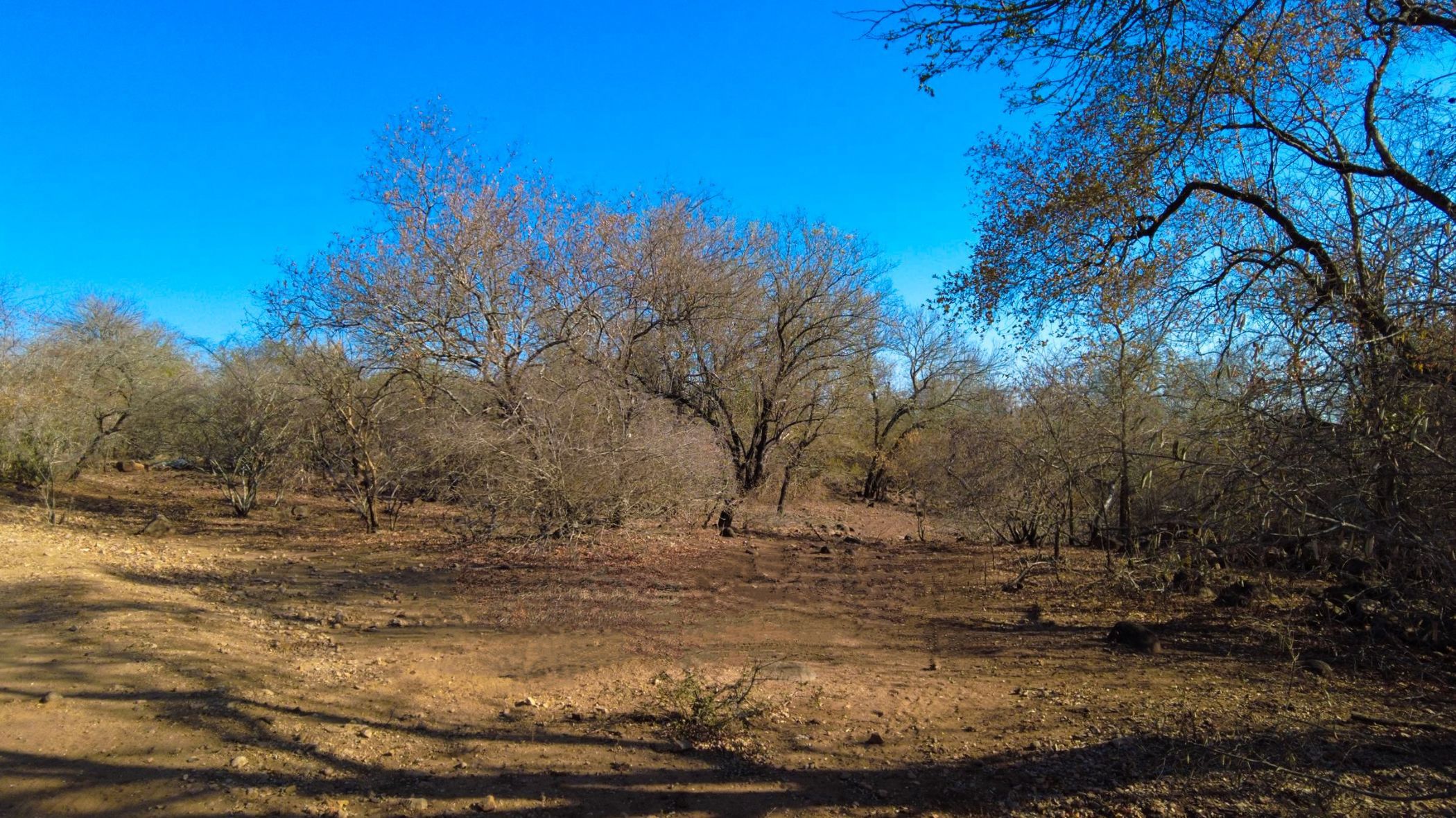 Vacant land sold in Marloth Park - 1NK1701927