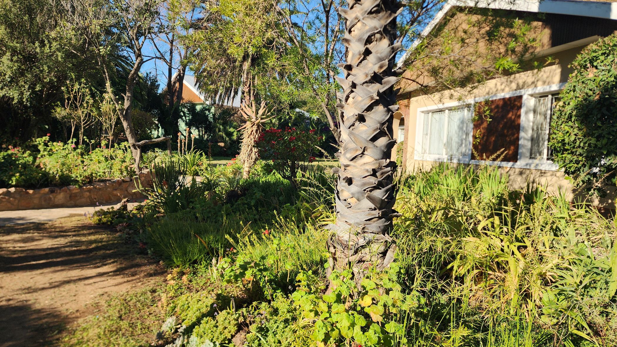 House for sale in Jansenville - 1KK1708938