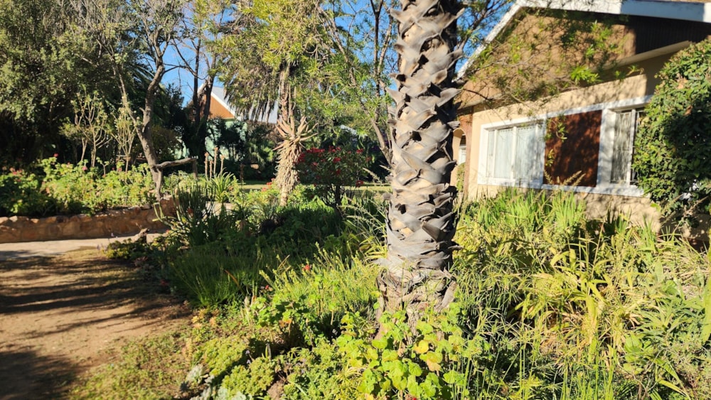 House for sale in Jansenville - 1KK1708938