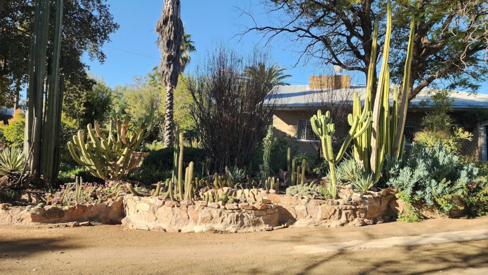 House for sale in Jansenville - 1KK1708938