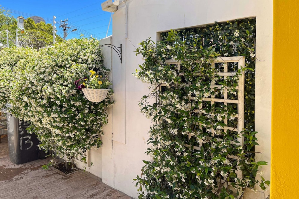 House sold in Oranjezicht - AS1709179 House sold in Oranjezicht - AS1709179