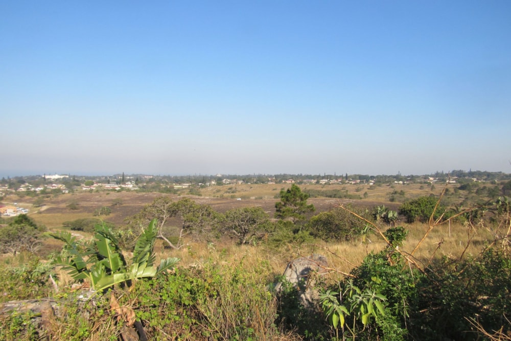 Vacant land for sale in Margate - 1PSH1708588