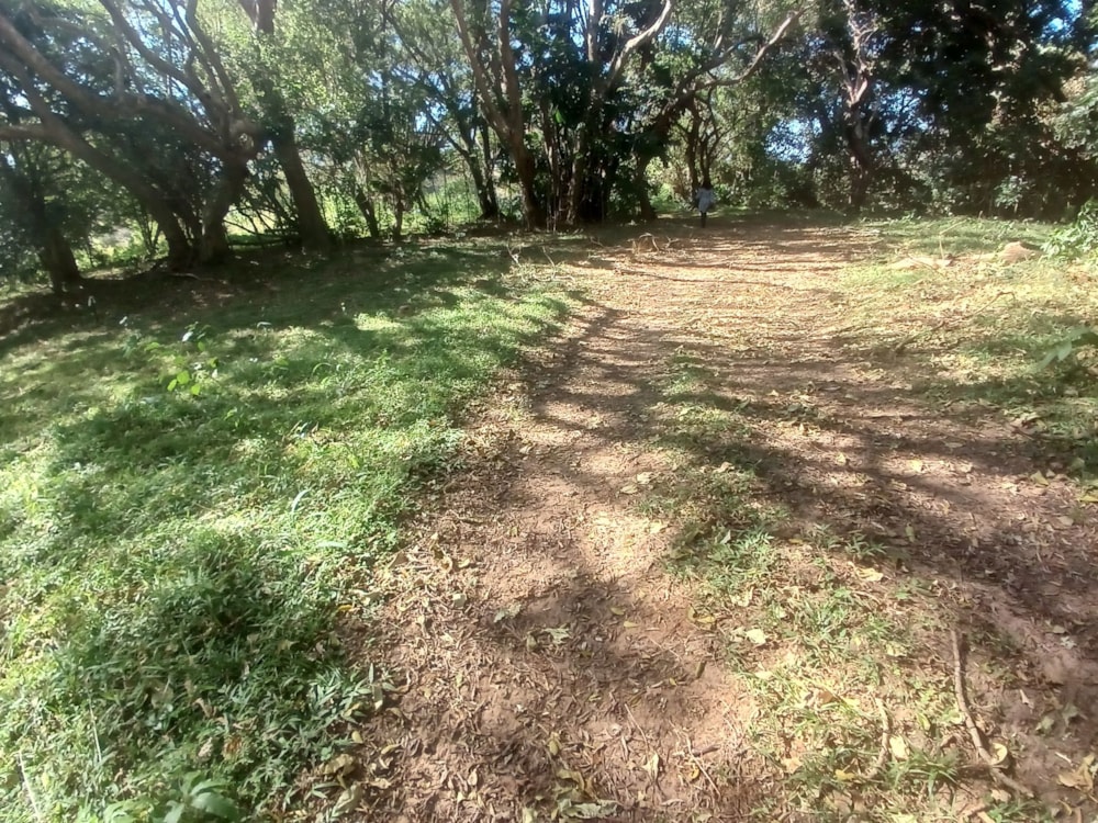 Vacant land for sale in Shelly Beach - 1PSH1694874