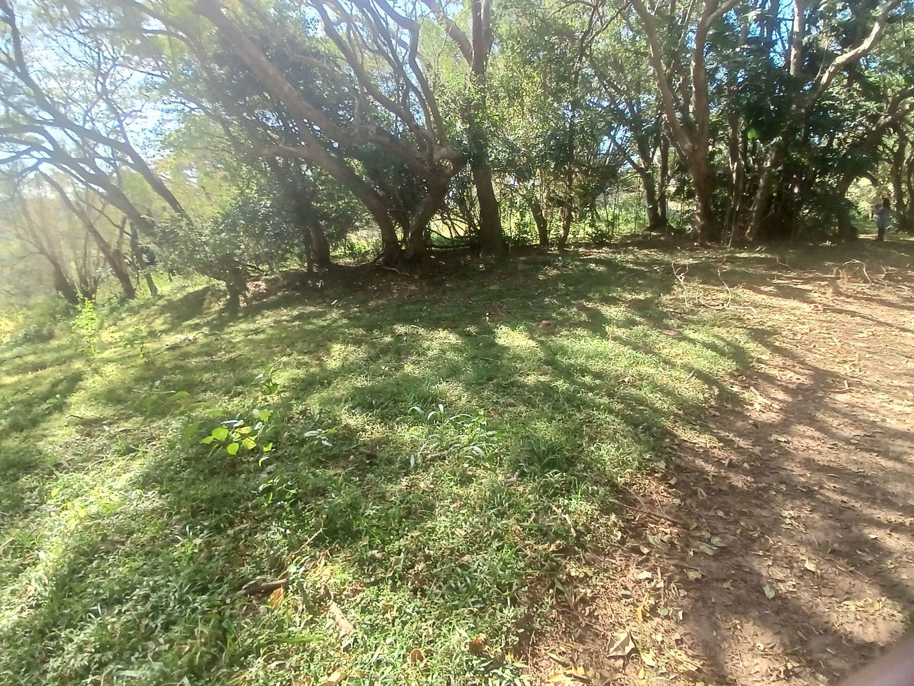Vacant land for sale in Shelly Beach - 1PSH1694874