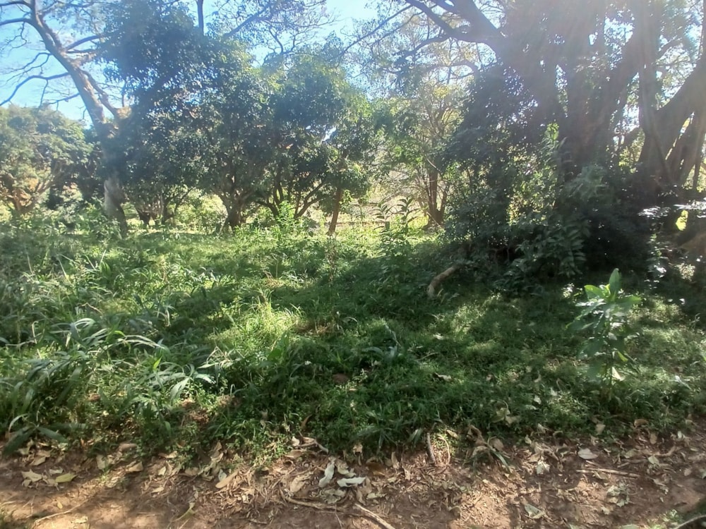 Vacant land for sale in Shelly Beach - 1PSH1694874
